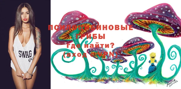 дурь Белоозёрский