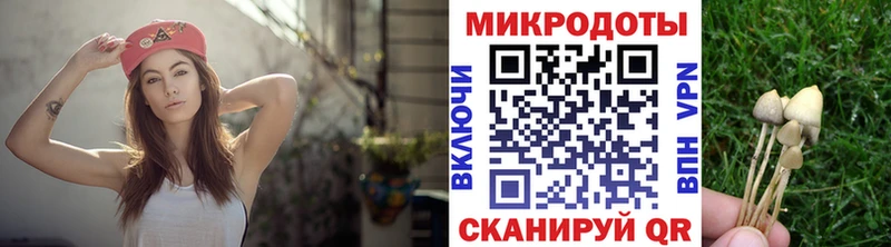 Галлюциногенные грибы Psilocybine cubensis  Печора 